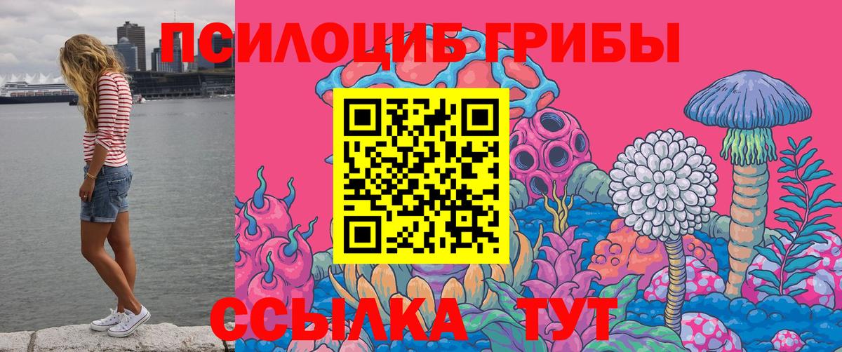 Галлюциногенные грибы Cubensis  Вход с VPN  Минеральные Воды 